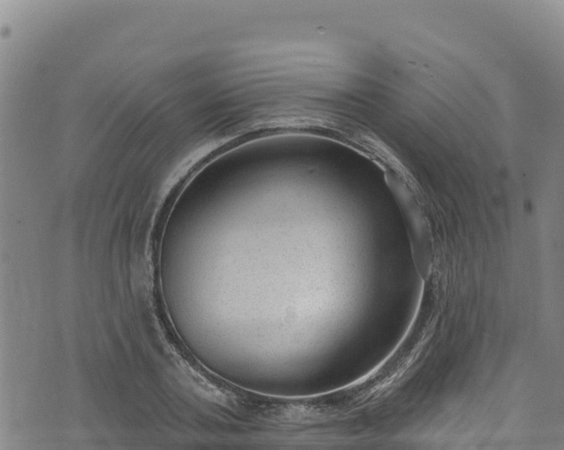 X0000074240787200609011305