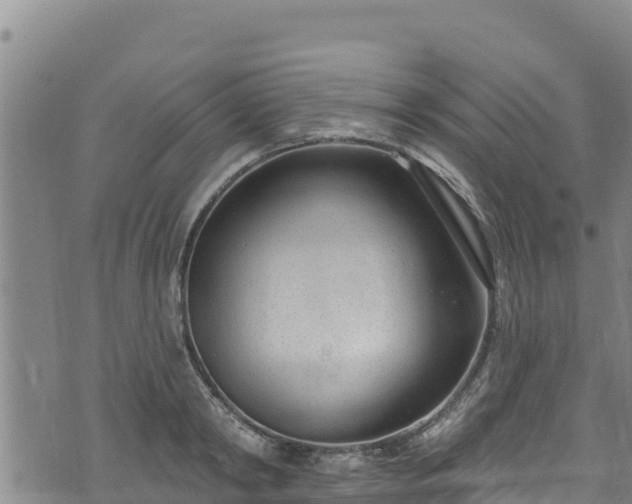 X0000074240798200609011305