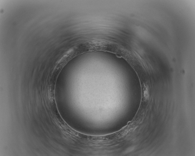 X0000074240819200609011304