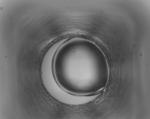 X0000074240822200609011304