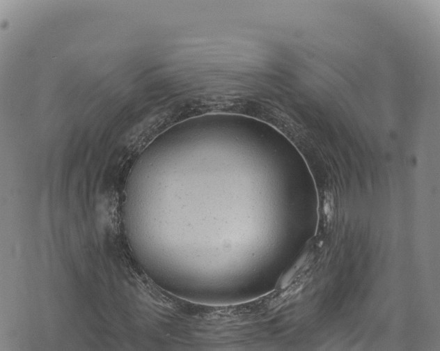X0000074240867200609011304