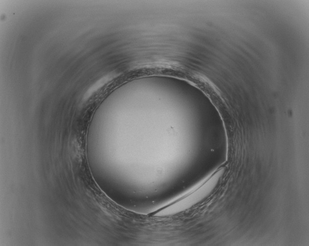 X0000074241064200609011301