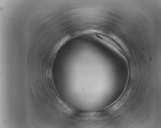X0000074241193200609011259