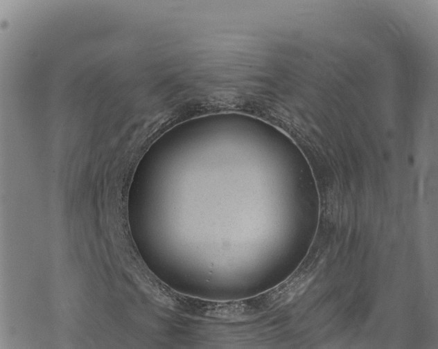 X0000074241201200609011258