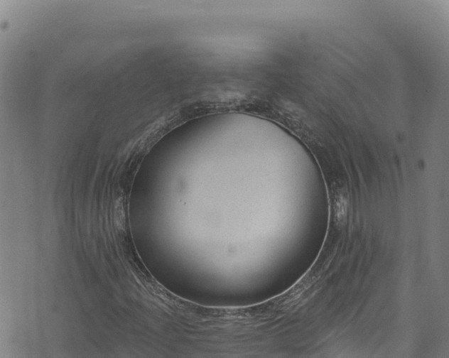 X0000074241204200609011258