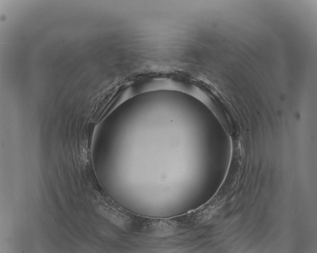 X0000074241348200609011256