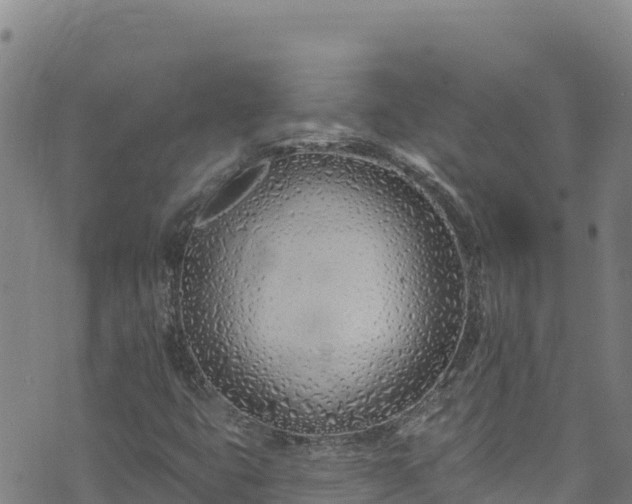 X0000074241399200609011255