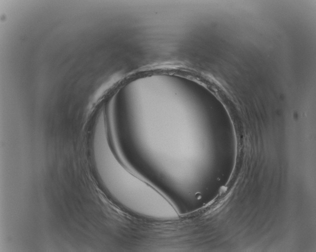 X0000074241406200609011255