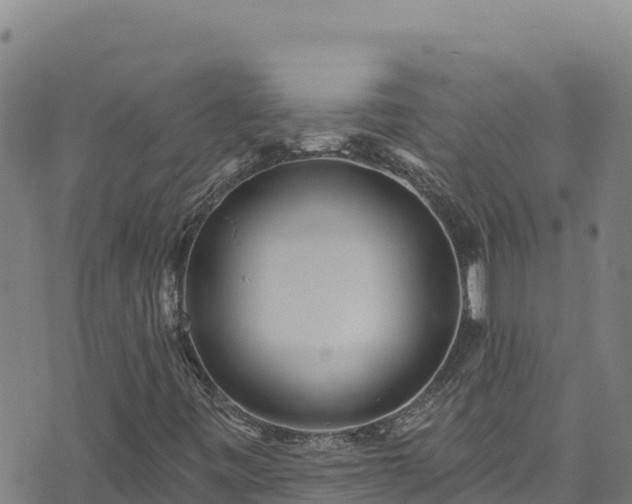 X0000074241443200609011255