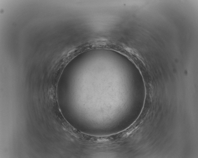 X0000074241445200609011255