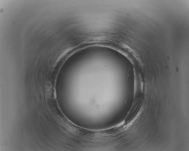 X0000074241449200609011255