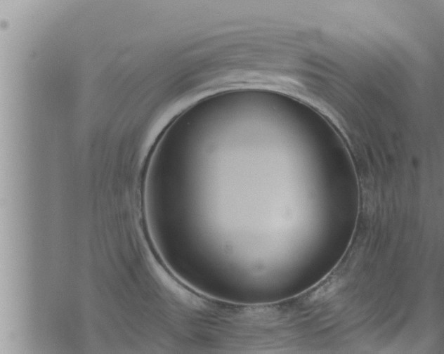 X0000074241531200609011254