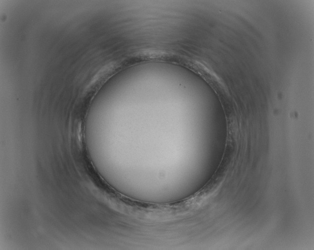 X0000074240024200609081657