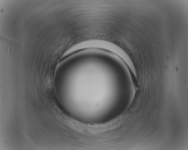 X0000074240039200609081657