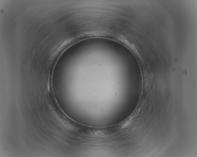X0000074240062200609081656