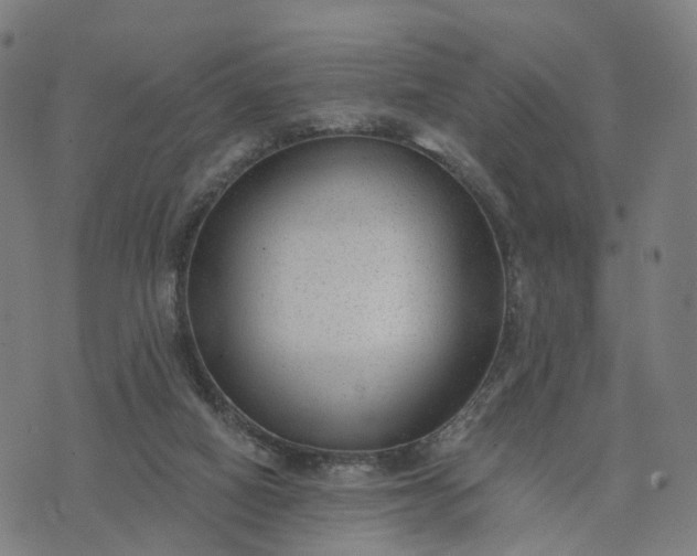 X0000074240066200609081656