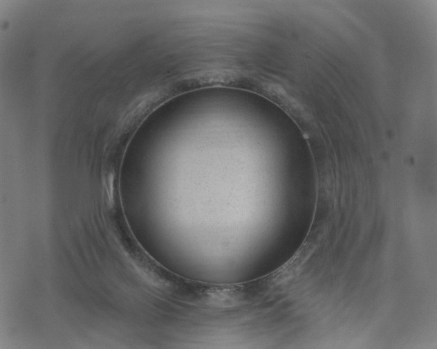 X0000074240070200609081656