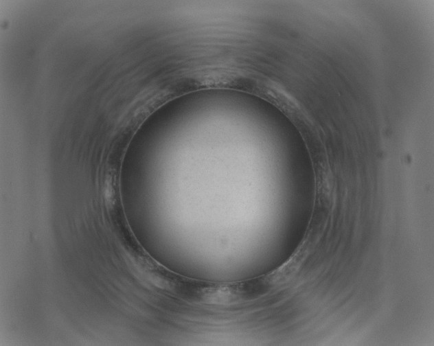 X0000074240074200609081656