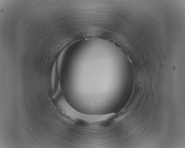X0000074240076200609081656