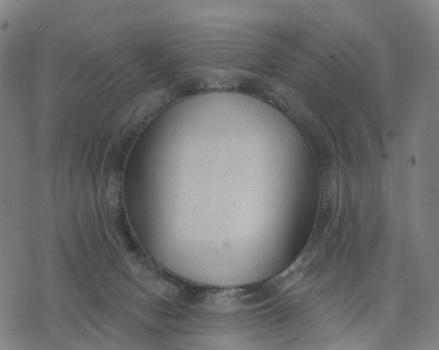 X0000074240078200609081656