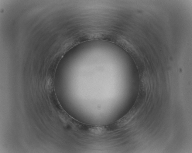 X0000074240079200609081656