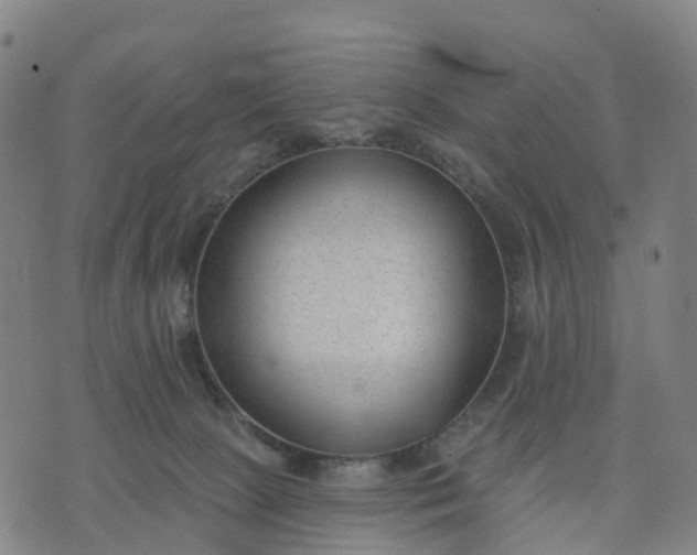 X0000074240081200609081656