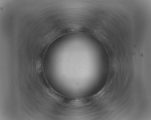 X0000074240082200609081656