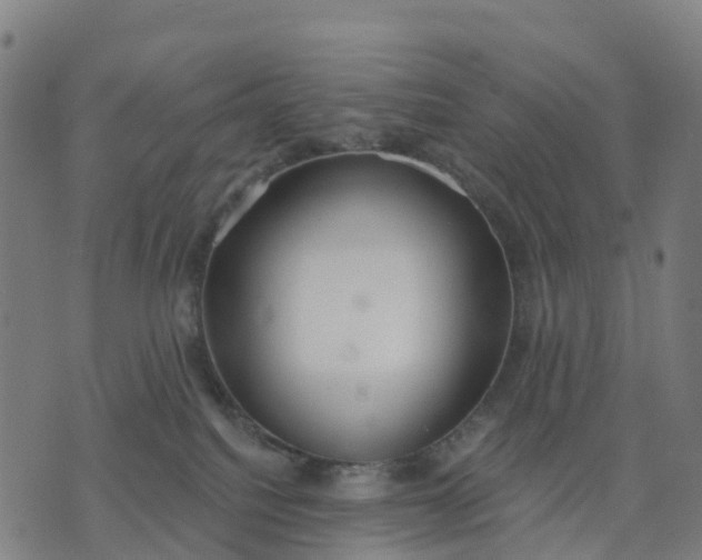 X0000074240088200609081657