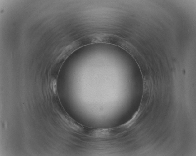 X0000074240094200609081657
