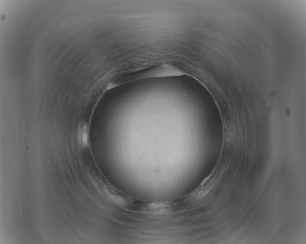 X0000074240095200609081657