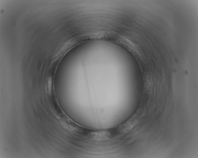 X0000074240118200609081656