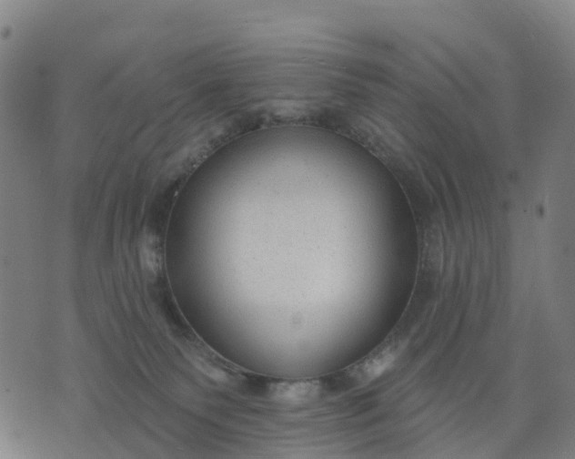 X0000074240135200609081655