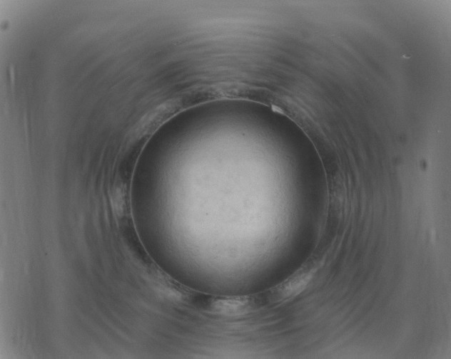 X0000074240139200609081655