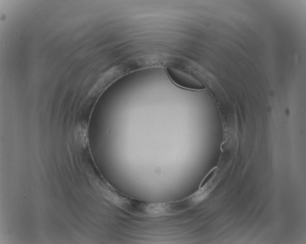 X0000074240142200609081655