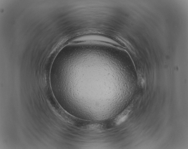 X0000074240158200609081655