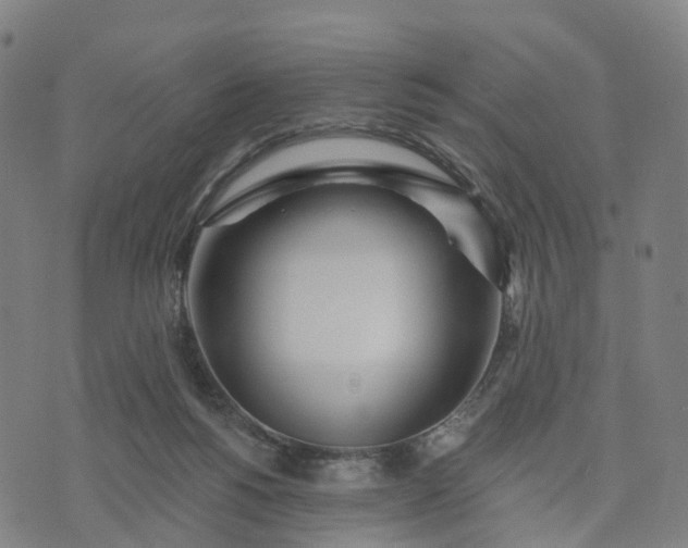 X0000074240168200609081655