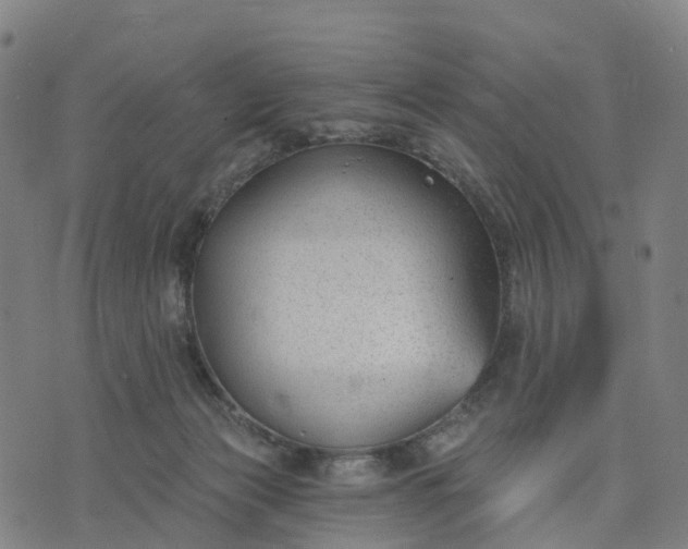 X0000074240173200609081655