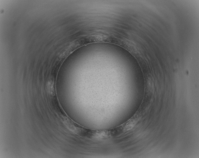 X0000074240177200609081655