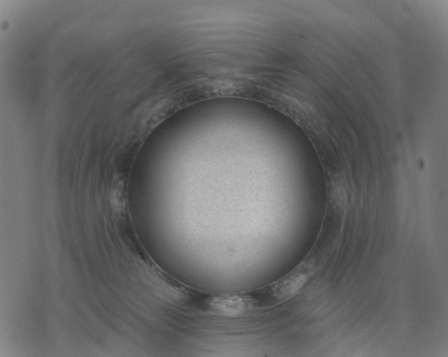 X0000074240181200609081655