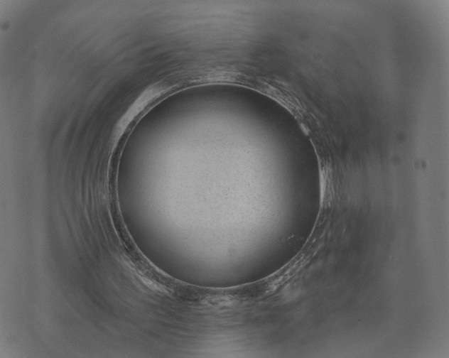X0000074240195200609081654