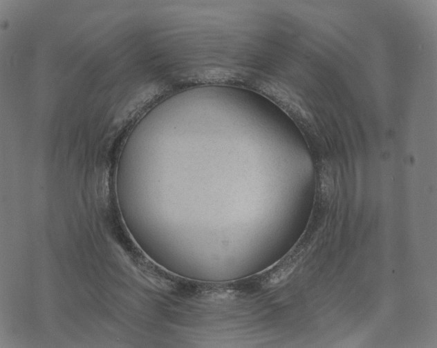 X0000074240206200609081654
