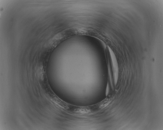 X0000074240223200609081654