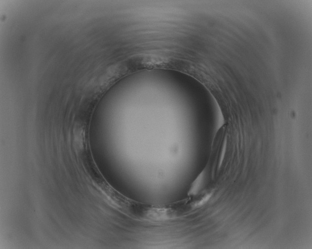 X0000074240227200609081654