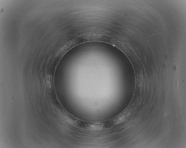 X0000074240232200609081654