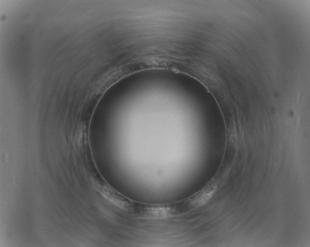 X0000074240233200609081654