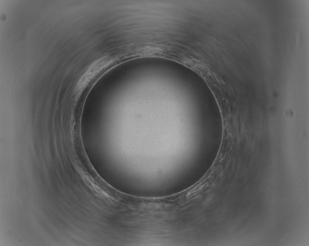 X0000074240242200609081653