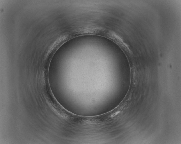X0000074240250200609081653