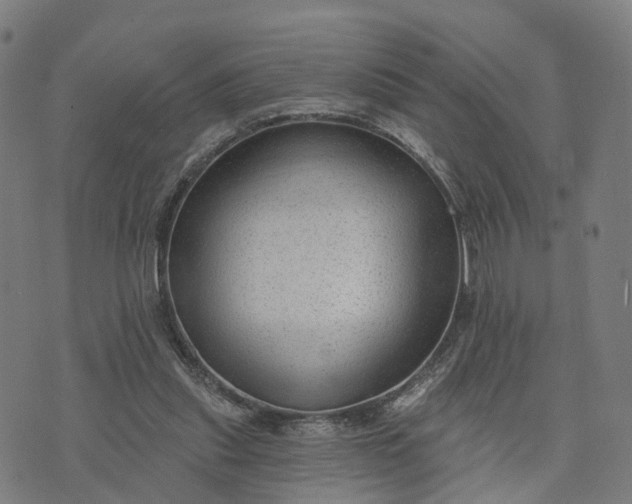X0000074240253200609081653