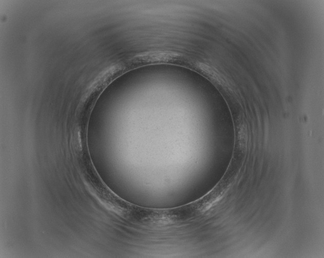 X0000074240254200609081653