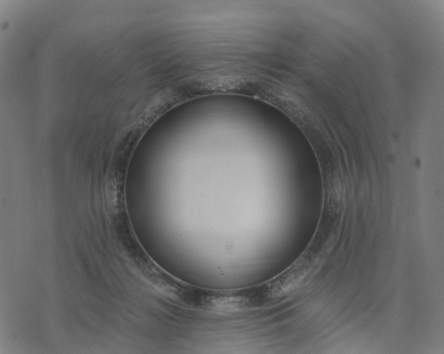 X0000074240268200609081653